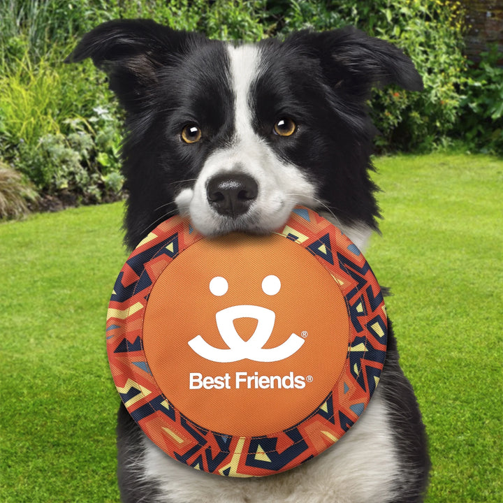 Fetch Dog Toy, "Choose Happy" Flying Disc